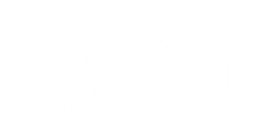 BarrioLink Digital Hub | Consulting para empresas y startups